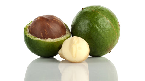 Macadamia Nuts Photo