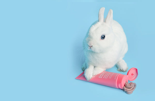 a bunny standing on top of sand and sky product