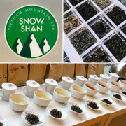 Accompagnement à la structuration de la filière du thé Shan dans le Nord du Vietnam