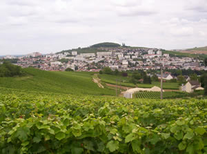 A view of the town of Epernay, France from the vineyards outside of town.