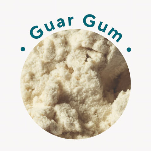 Guar Gum for Smooth Protein Texture| Vegan