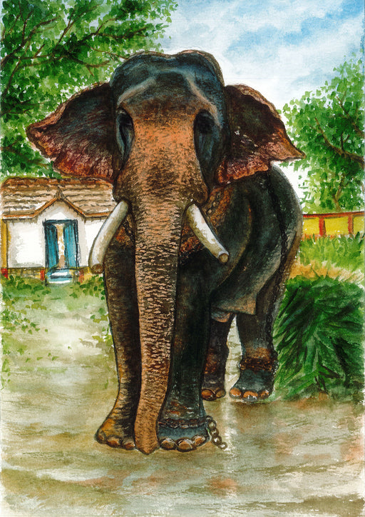 Diamond painting Glow in the Dark 25x35, Olifant, NIEUW, Glow in the  dark