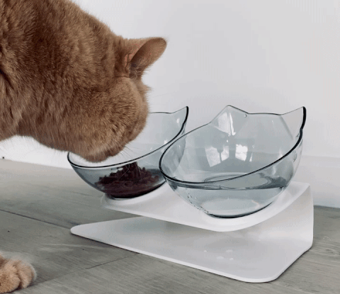 anti vomit cat bowl