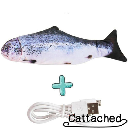 Moving Fish Cat Toy – Cattached
