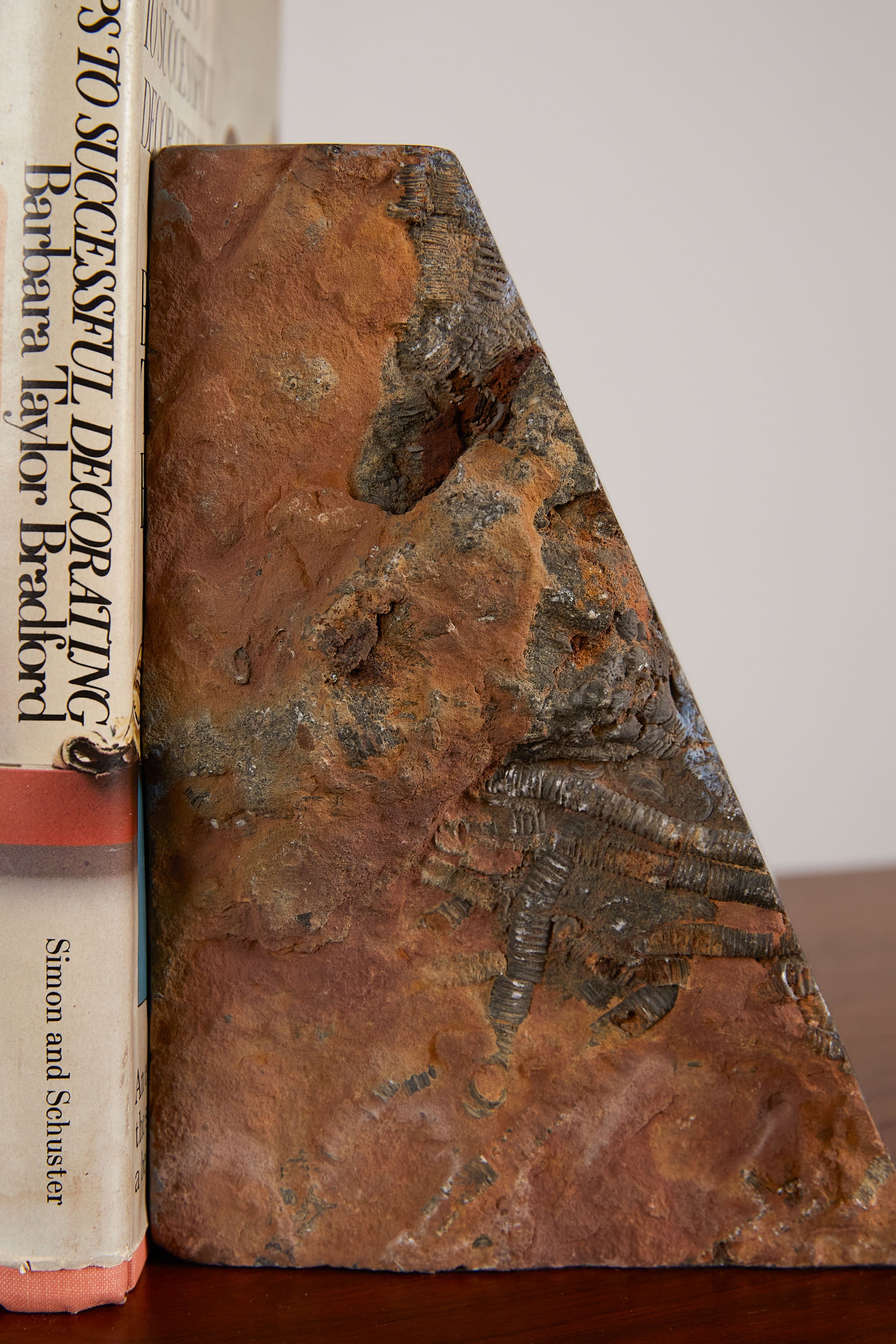 A Pair of Fossilized Crinoid Stone Bookends