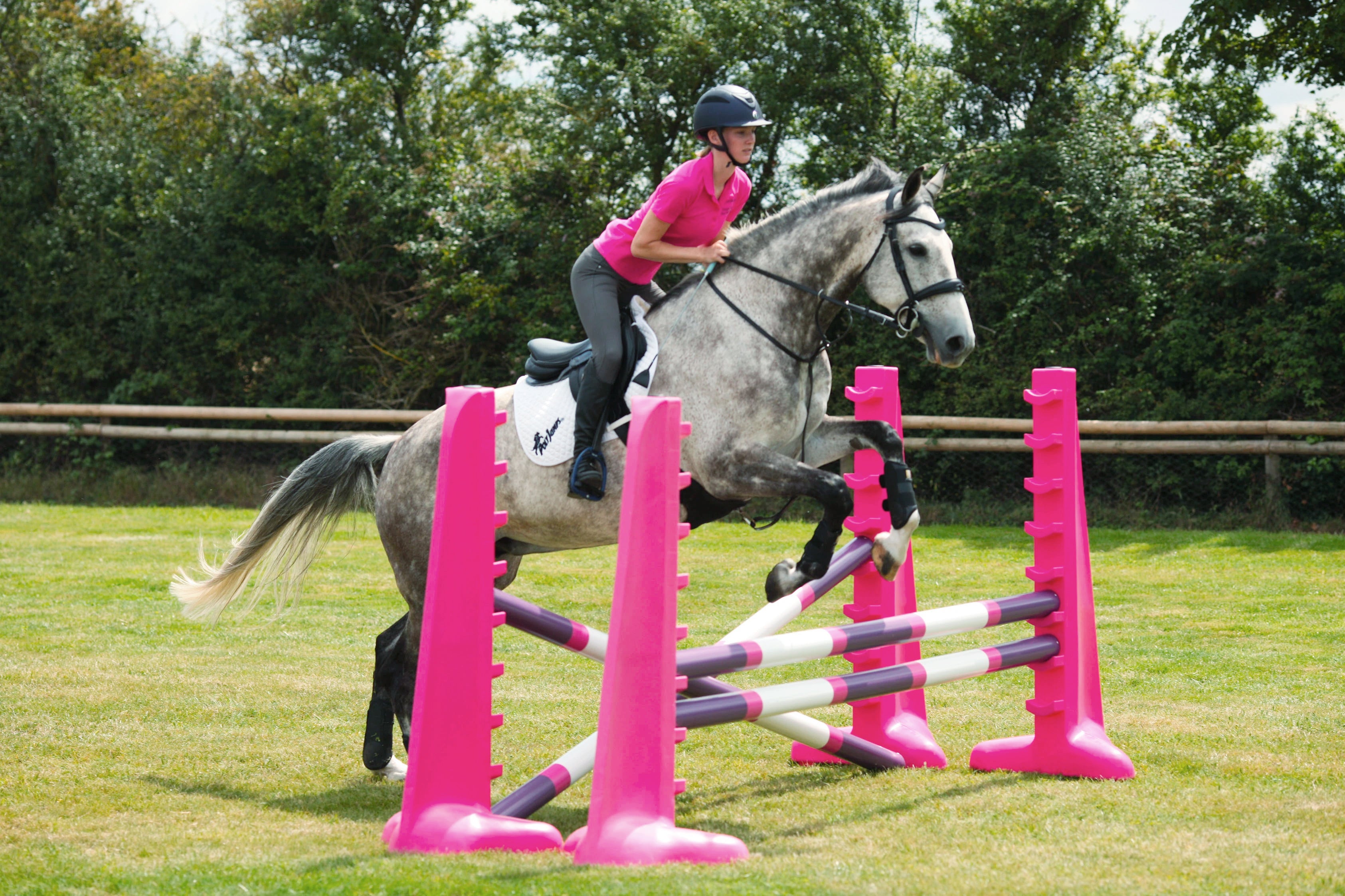 Horse jumping over 2 fences made up of 2 pairs of pink 8 cups with 3 poles. 