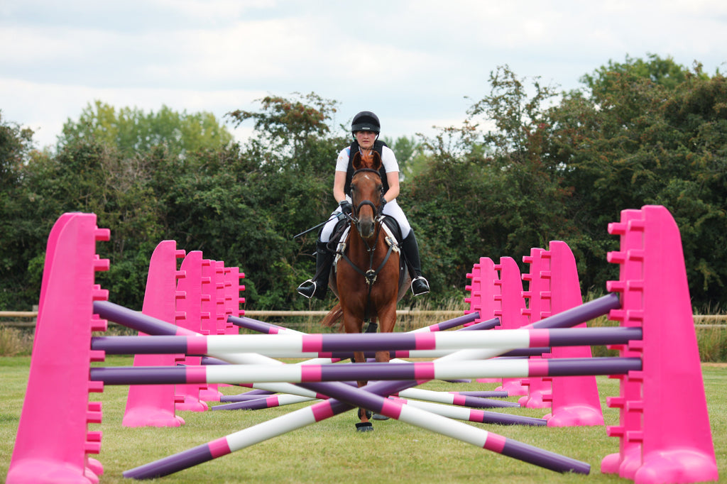 Horse jumping towards camera over carol mailer grid jump set