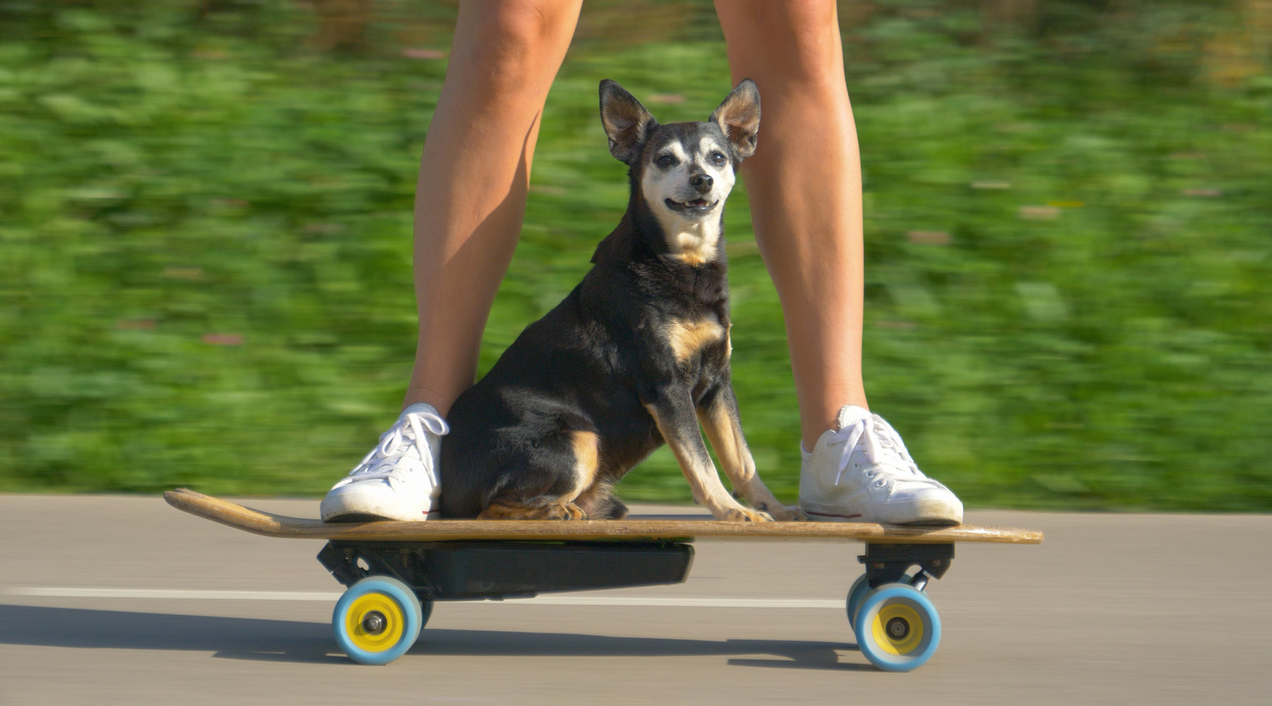 riding-an-electric-skateboard-with-a-puppy