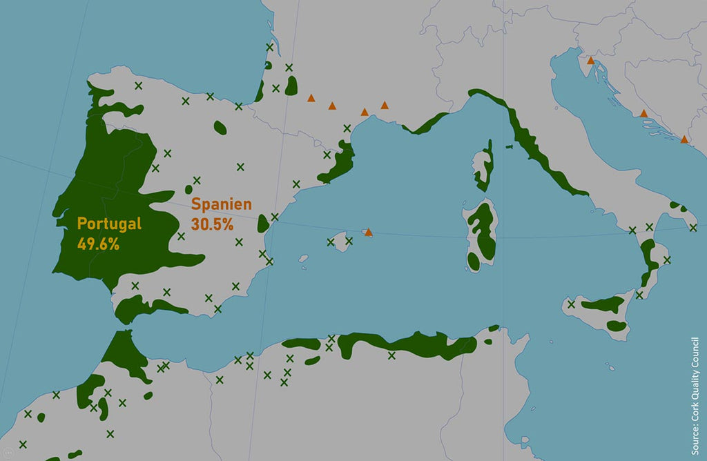 Karte des Mittelmeerraums, die zeigt, wo Kork produziert wird, und hervorhebt, dass er hauptsächlich in Portugal (49,6%) und Spanien (30,5%) geerntet wird.