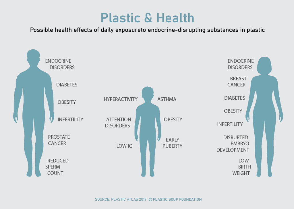 Infographics listing possible health effects of daily exposureto endocrine-disrupting substances in plastic, on men, women, and children