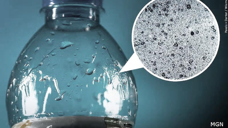 plastic water bottle with overlaid magnification of microplastics found in the water