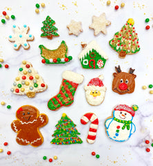Christmas Fun Cookie Decorating Kit