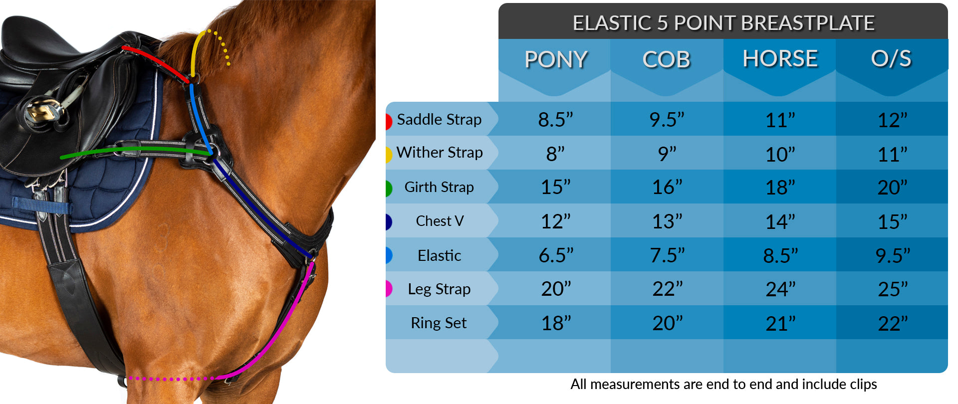 5 POINT BREASTPLATE MEASUREMENT