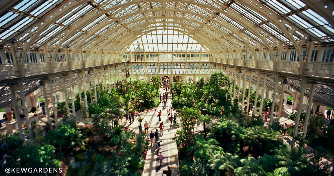 Kew Gardens