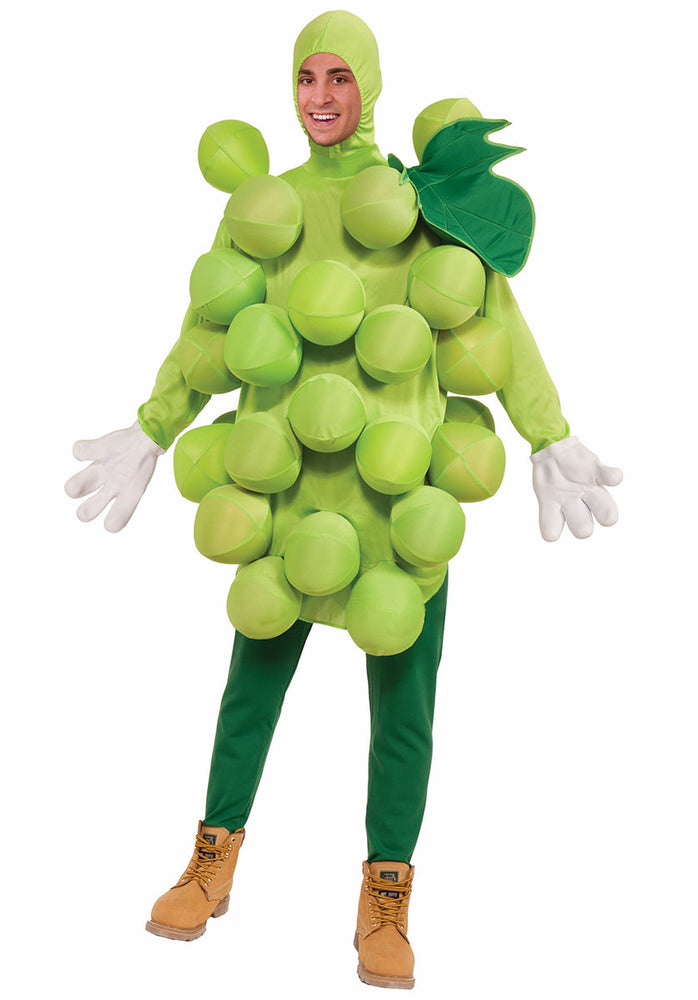 Green Grapes Fruit Dress up Costume Fancy Dress – Escapade