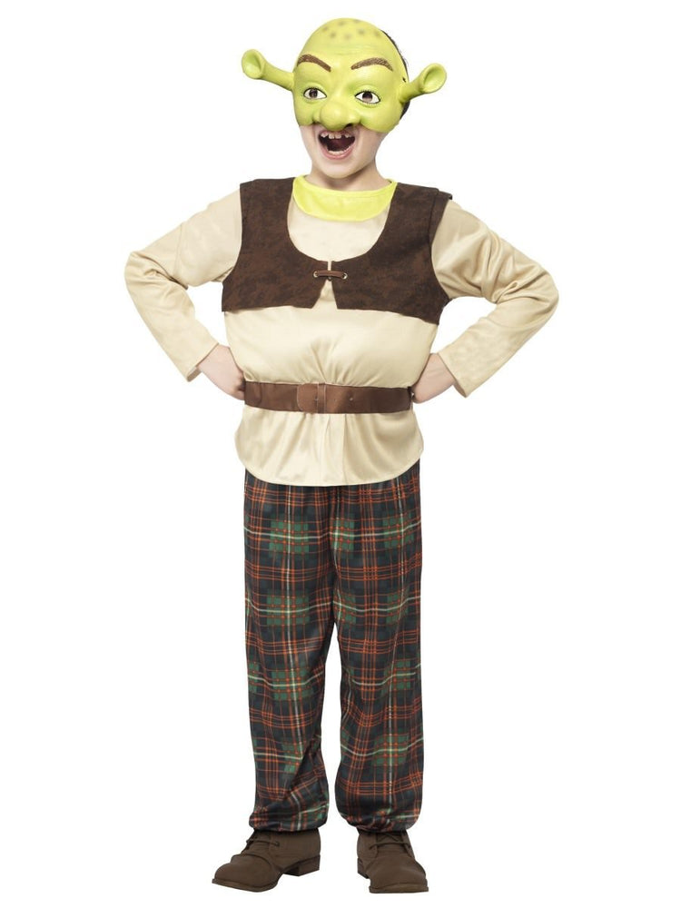 shrek mirror costume