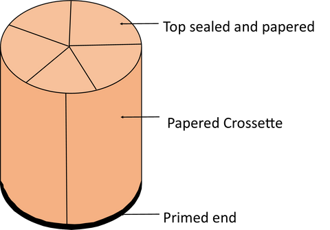 Finished Firework Crossette Cross Section 