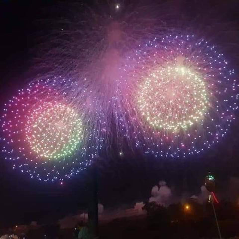 Firework Photograph Showing Pistil Effect