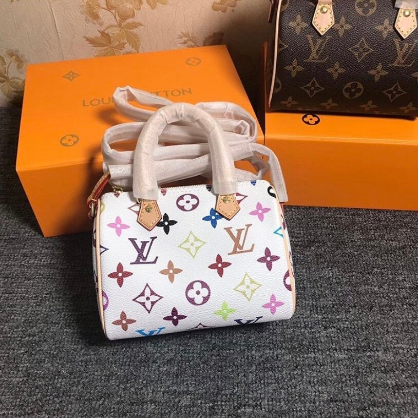 Louis Vuitton Mini Multicolor Speedy White Bag – Royal Goddess Collection