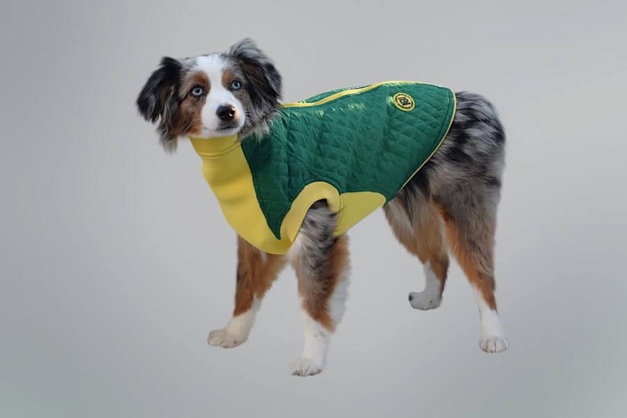 dog waterproof vest