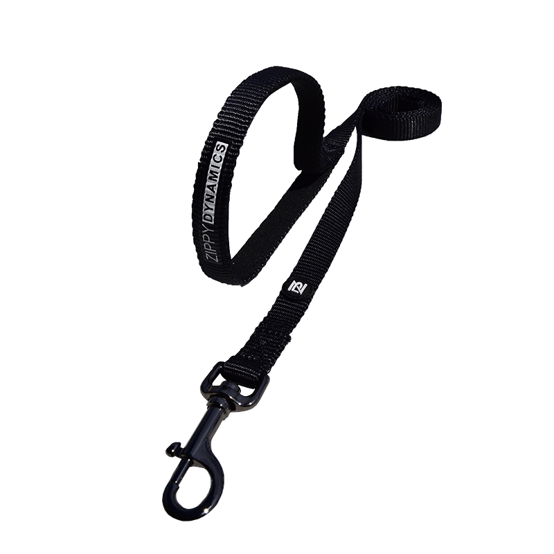 Find the Dog Harness Leash Online