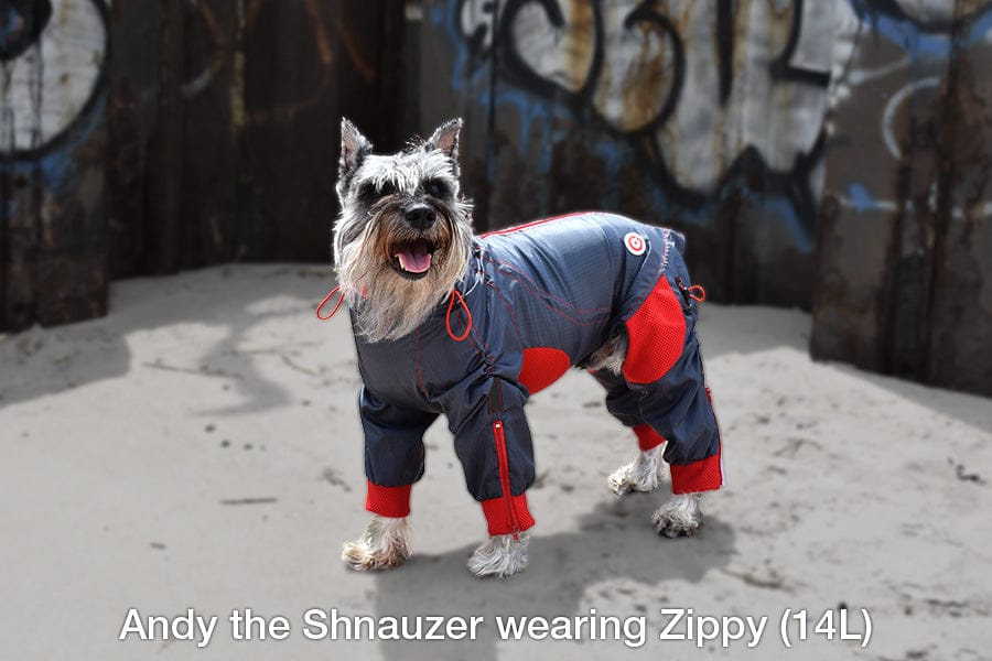 dog protective body suit