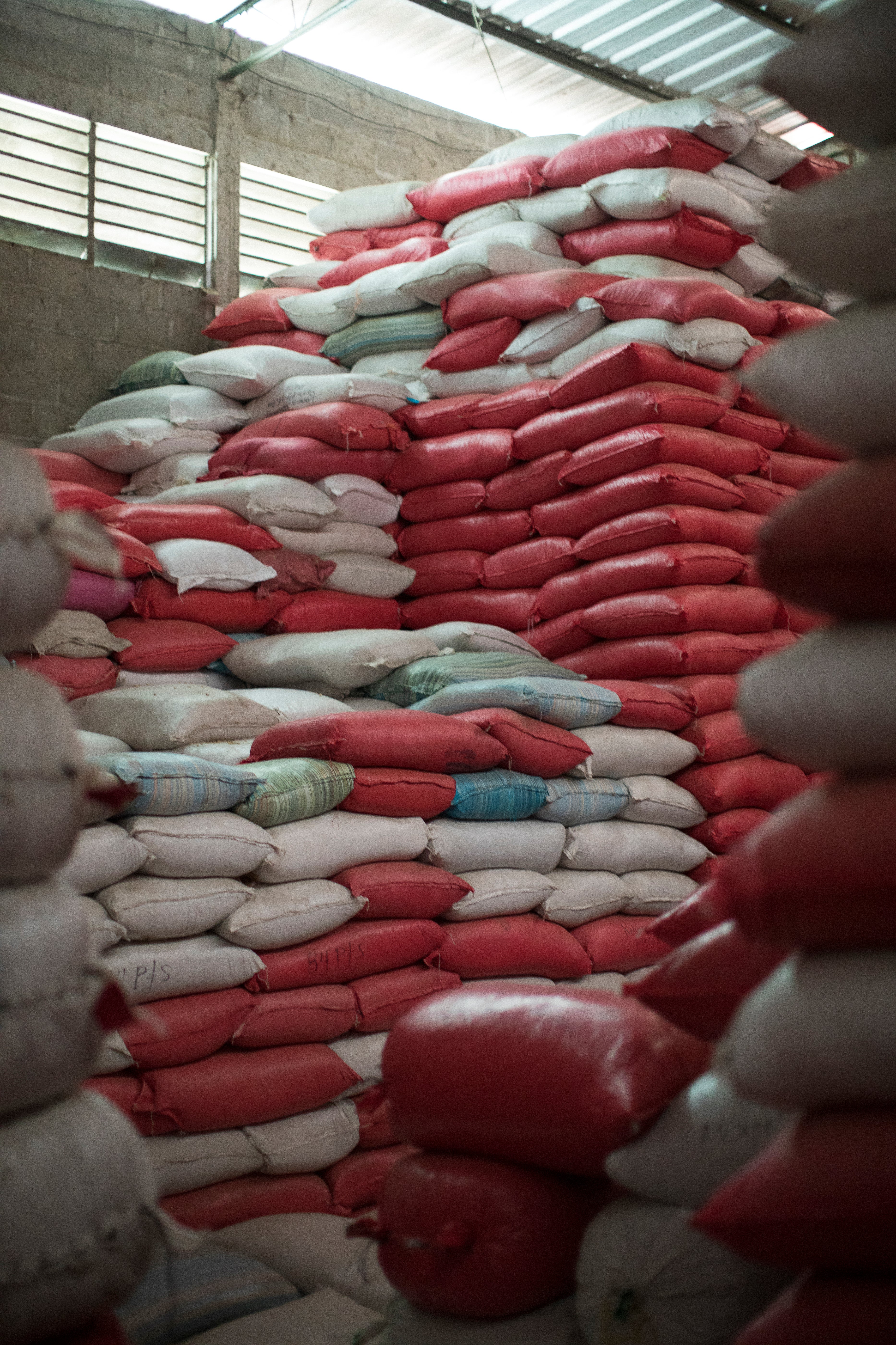 Bags of coffee stacked in San Vicente's warehouse