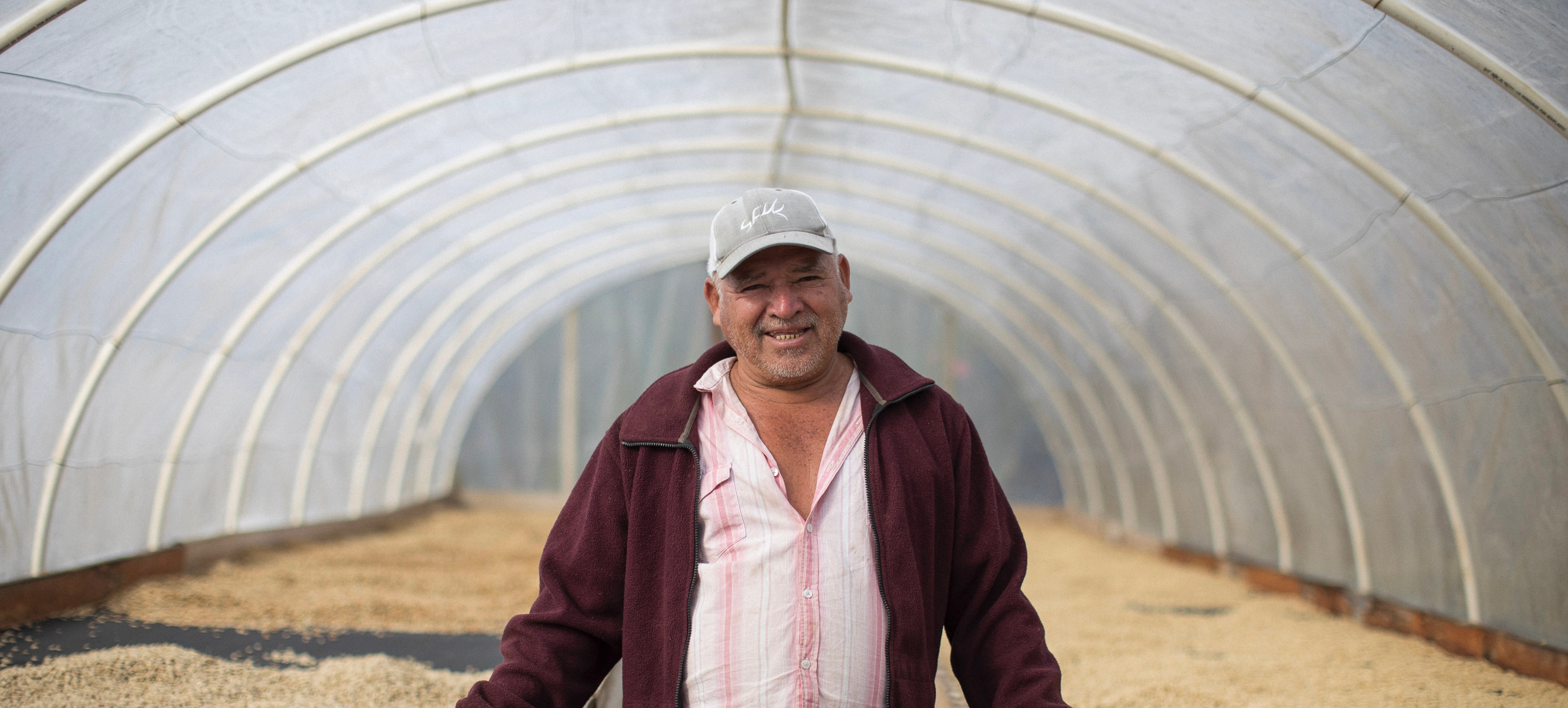 Nicolas Alvarado on Finca El Pino