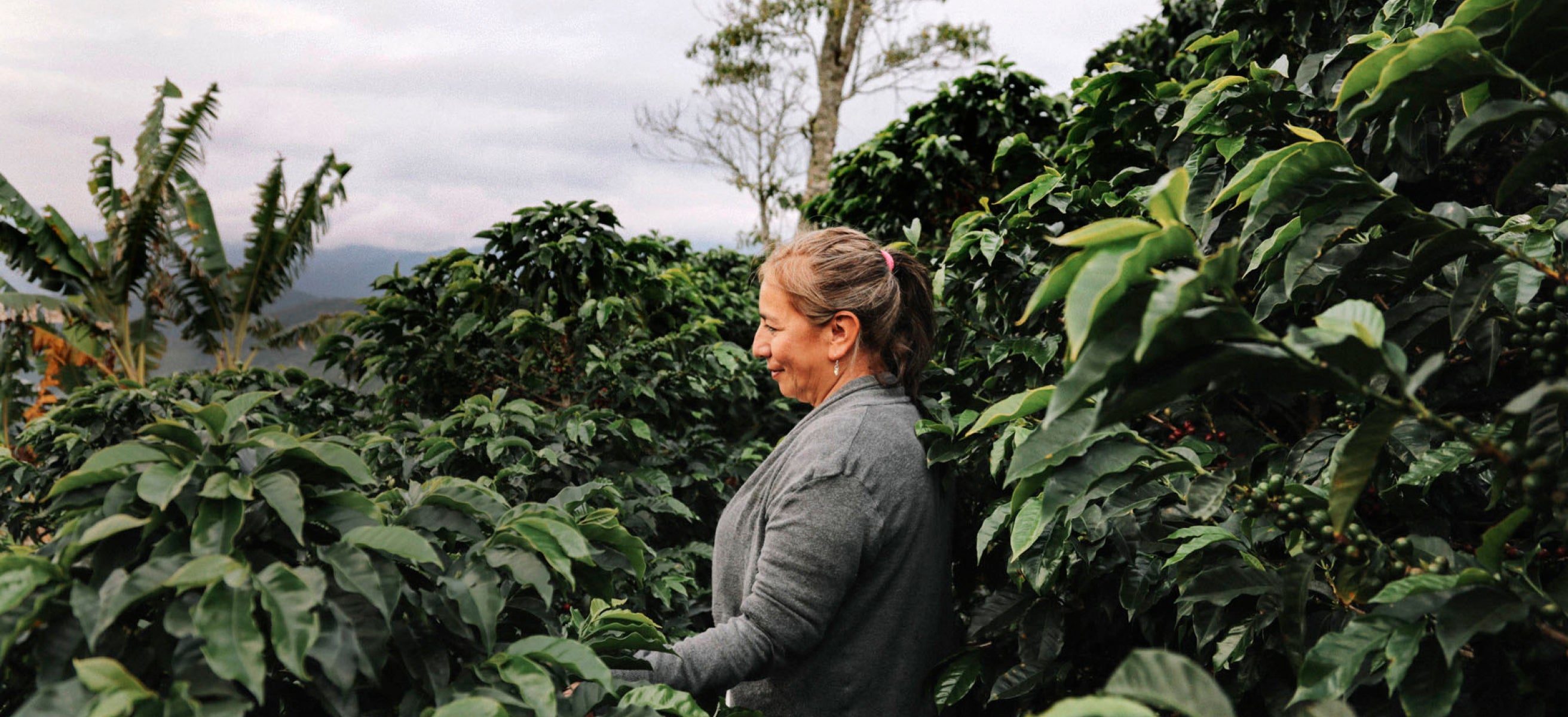 Maria in a coffee field