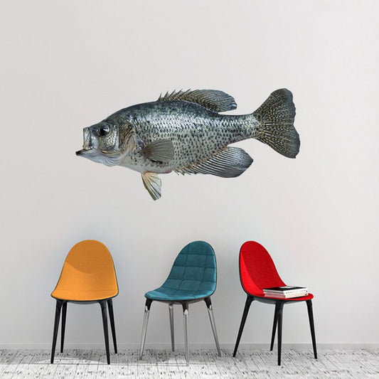 Crappie Wall Decal, Many Sizes