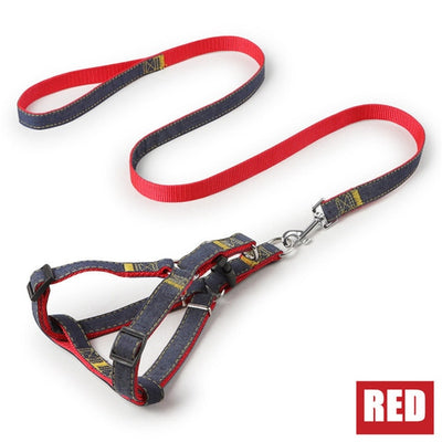 dog slip collar leash