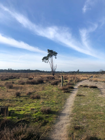 Loonse en drunense duinen