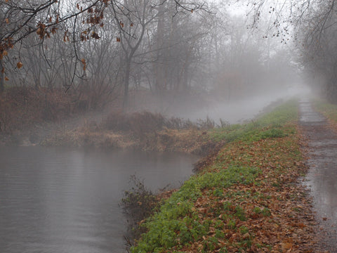 December fog on Delaware canal at Stockton