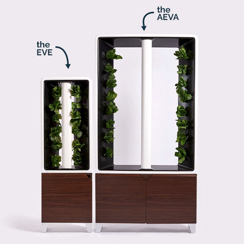 Just Vertical Aeva & Eve hydroponic indoor garden by PhilZen