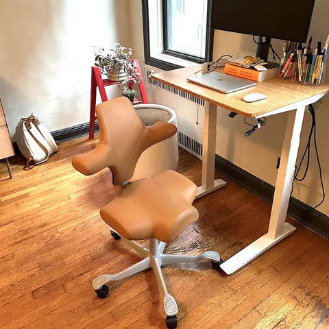 HAG Capisco best home office active chair ergonomics by PhilZen