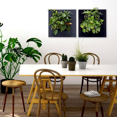 Suite Plants live picture plant frame biophilic design for home office best 2022 by Philzen
