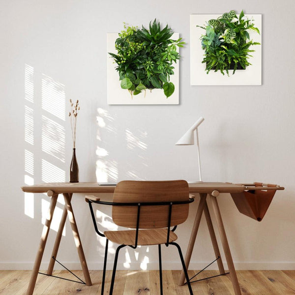 5 Easy ways to add green to your space to boost your wellness. Suite Plants Live Picture Go by PhilZen