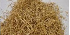 Kuruthottiveru (Country Mallow)