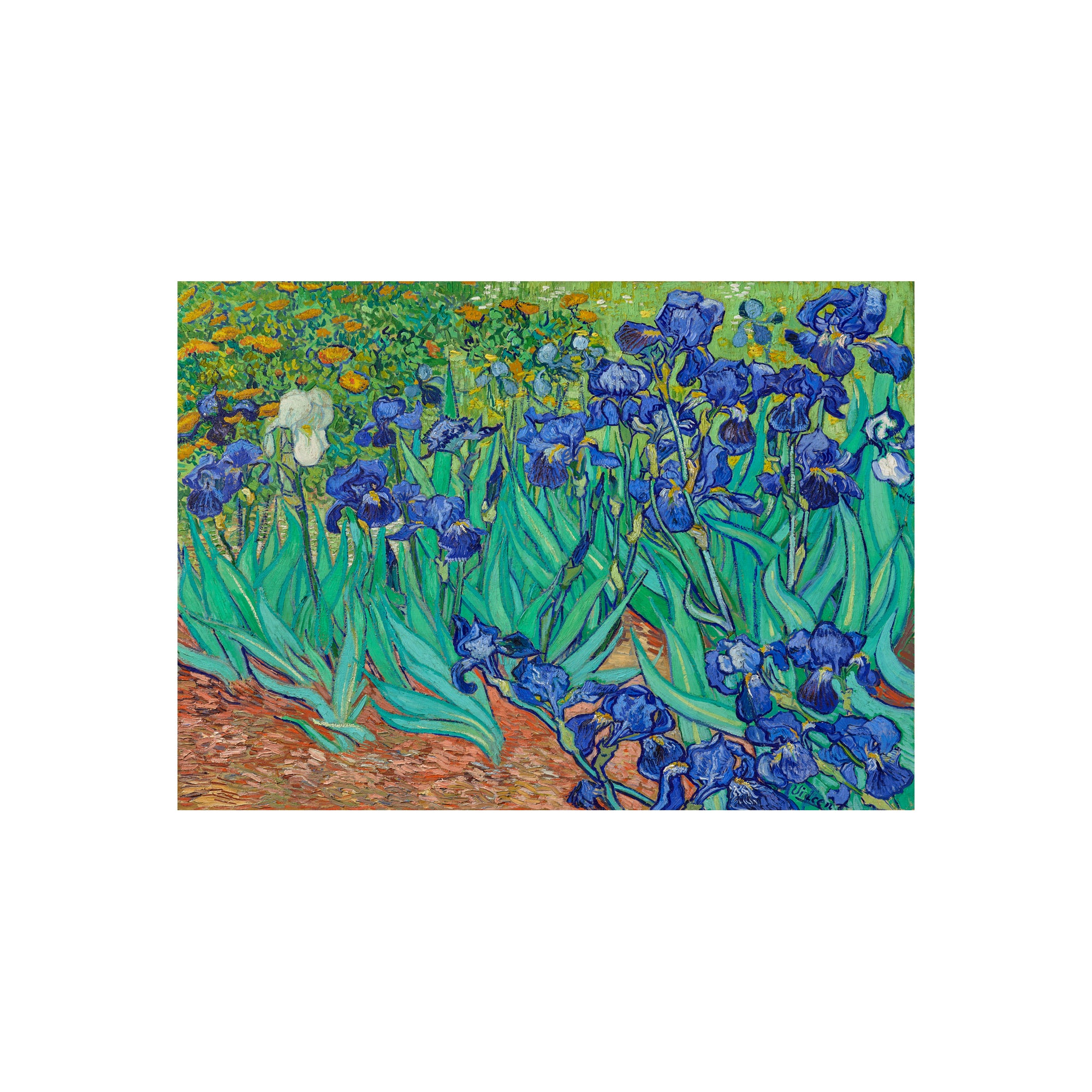 Van Gogh Irises in the Garden - Poster – Munde Home