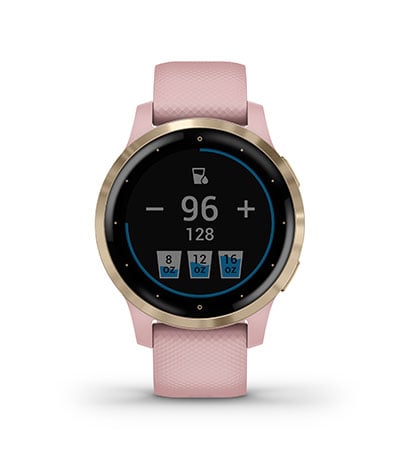 Garmin smartwatch 010-02172-22