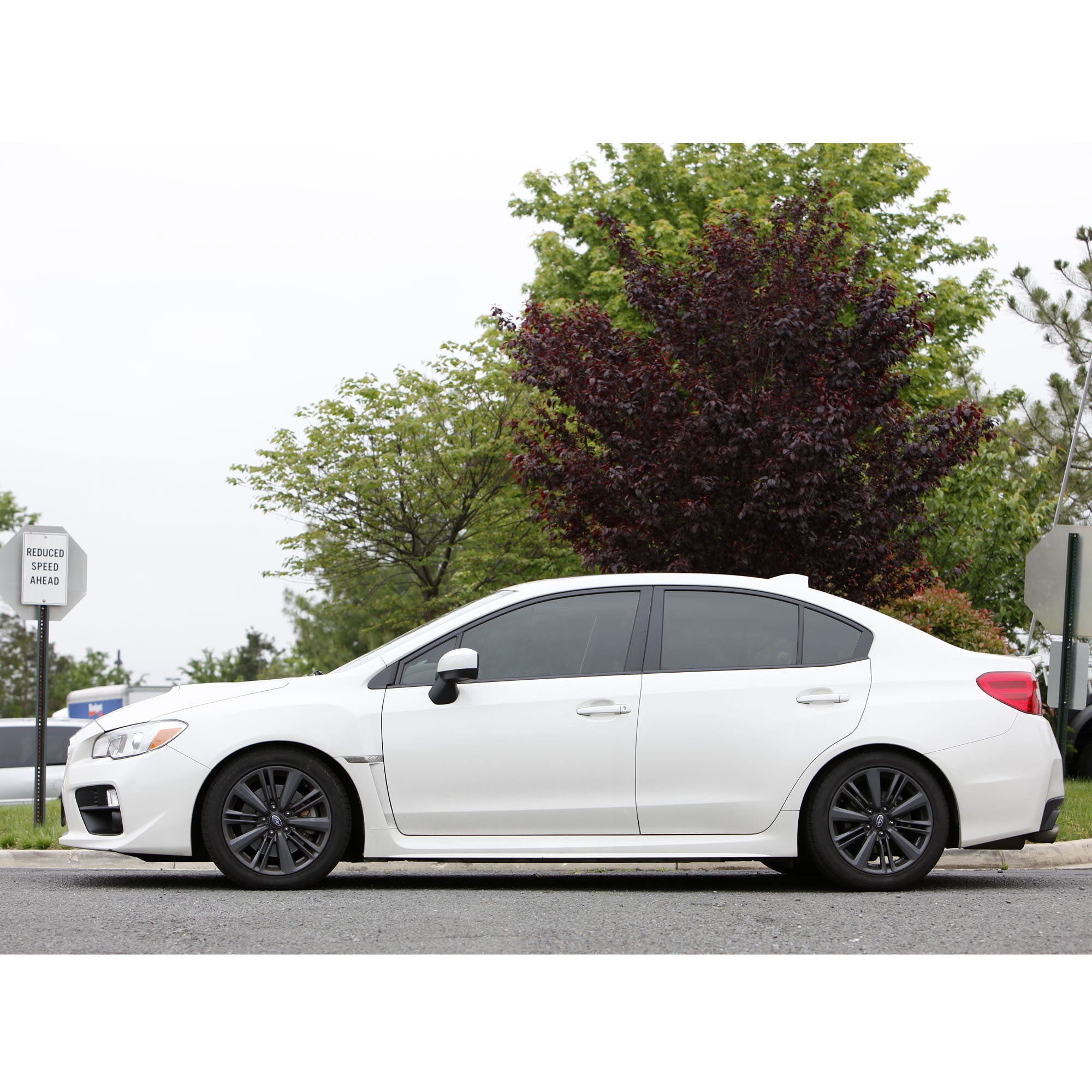 lowering springs wrx