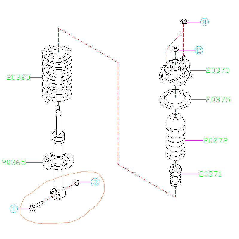 subaru rear strut replacement