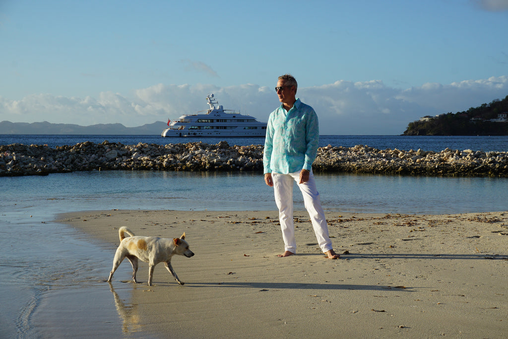 dog on a beach