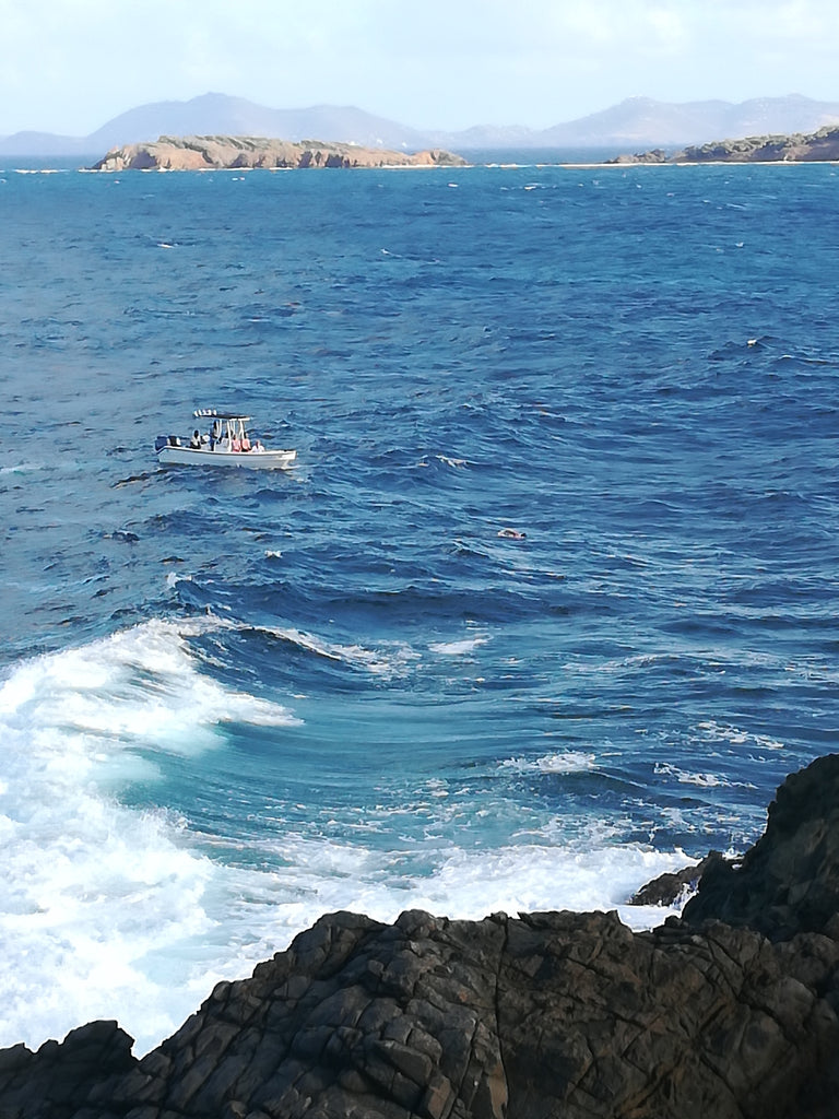 A boat in the sea at Mustique