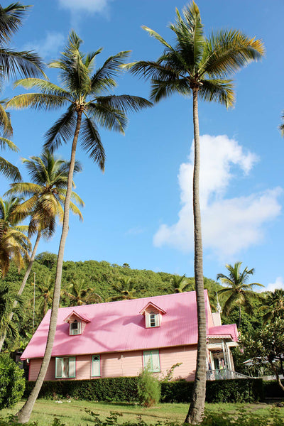pink house with pink roof
