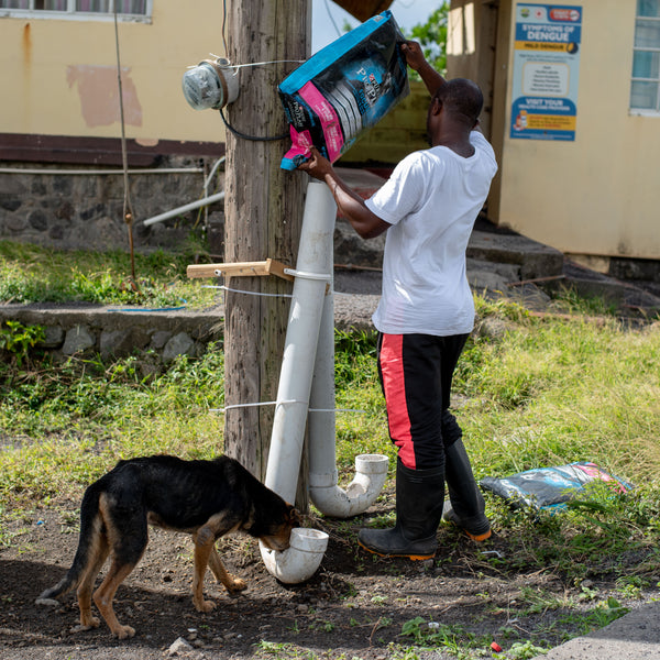 VSPCA animal feeding station on St Vincent