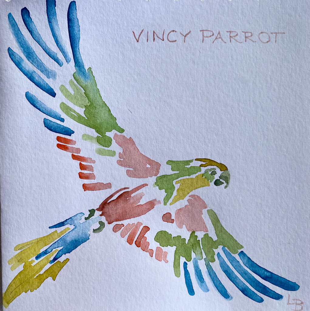 One of Lotty's original Vincy parrot paintings