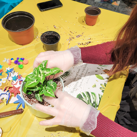 Childs hands Planting