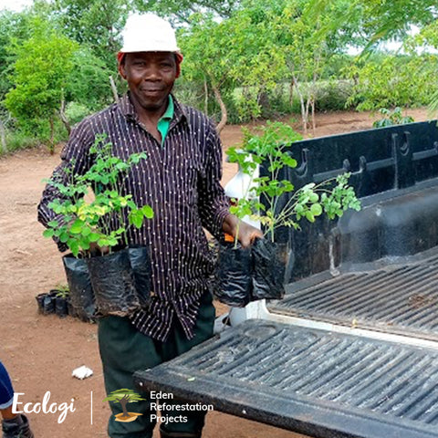 Man holding saplings ready to plant