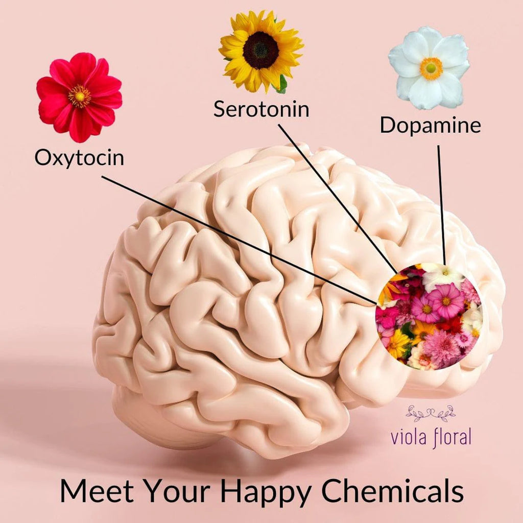 Chemicals Responsible for Individual Happiness | Viola Floral